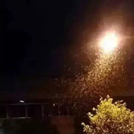 白蟻危害大，4-6月份進(jìn)入其活躍期 防治白蟻不容忽視！